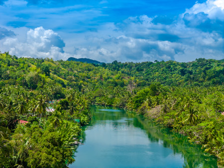 Loboc River with palm trees in Bohol island, Philippines. Aerial drone view of river popular for river cruisesの写真素材