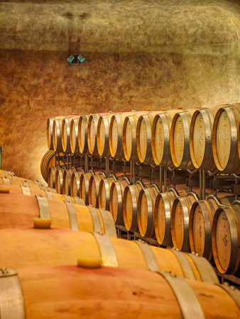 Wine barrels in the a wine cellar. Wine vault in an Italian winery with a different years production wineの写真素材