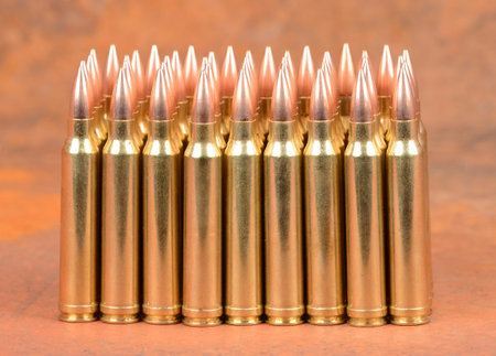 Loaded cartridges. 300 Win Mag.