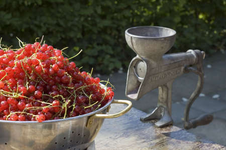freshly picked red currants in a bowl waiting to be crushedの写真素材