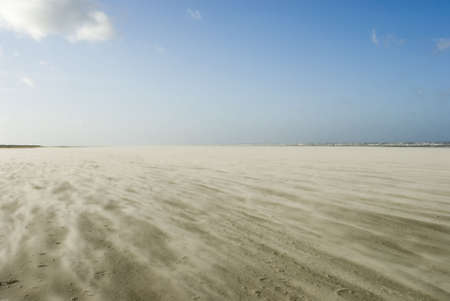 a sunny winterday with strong winds, showing a sandstorm on Schiermonnikoog beachの写真素材