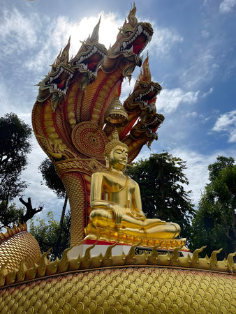 Golden seated Buddha statue protected by a serpent, symbolizing divine protection, enlightenment, and spiritual strength in Buddhism.の写真素材