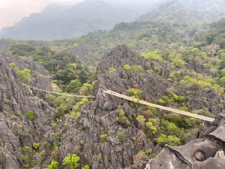 Suspension bridge stretching across dramatic limestone cliffs surrounded by lush green forest. Tiny figures crossing the bridge emphasize scale, challenge, and human courage within vast nature.の写真素材