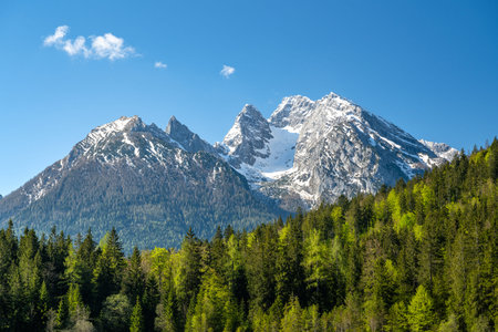 The snow covered Hochkalter in front of green trees, Ramsau, Berchtesgaden, Bavaria, Germany, Europeの写真素材
