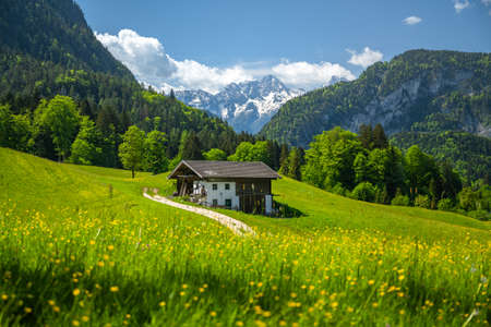 Old traditional mountain farm on a blooming meadow, in the background the snow-covered Loferer Steinberge, Pinzgau, Salzburger Land, Austria, Europeの写真素材