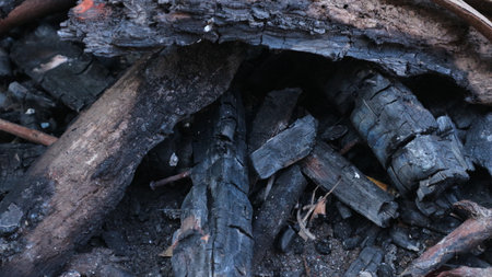Natural Charcoal Texture - Black and White Abstract Backgroundの写真素材