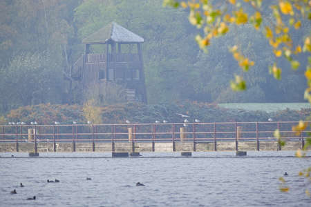 Old wooden observation tower near the water viewed from across the river distanceの写真素材