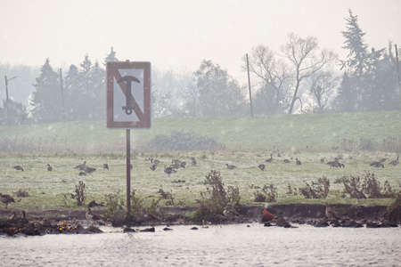 Do not Moor sign or No Anchoring sign with diagonally crossed out black anchor turned upside-down, installed on the pole on the shore and viewed from waterの写真素材