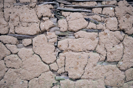 Weathered damaged mud daub on a timber frame building wall with cracks and missing plaster exposing...
