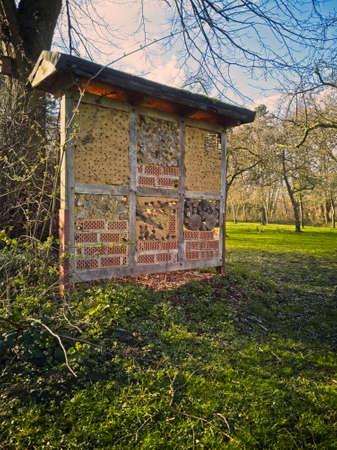 An insect hotel wall with a roof in the park with bare trees, viewed from low angle on sunny spring day. A manmade structure with various holes to provide shelter for insectsの写真素材