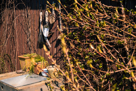 Table in the garden with potted plants and gardening tools hanging on the fence, viewed through...