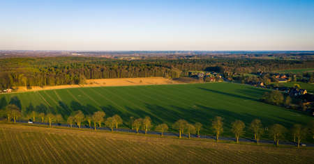 Panoramic high angle view of a scenic countryside landscape with trees aligned along a road between green cultivated fields under clear blue skyの写真素材