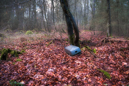 Blue plastic box thrown away in the woods, sitting under the tree on the ground covered with...