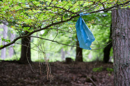 Blue plastic bag tied to the branch of a tree in green spring woodland in a concept of plastic pollution of the environmentの写真素材