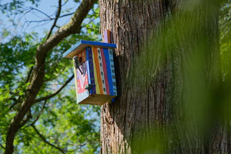Brightly colored handcrafted bird nesting box with a little bird peeking in on the trunk of a tree viewed through green foliageの写真素材