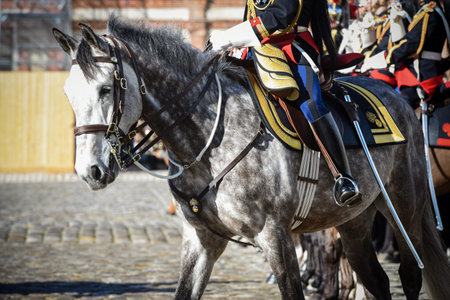 show of the republican guard in fontainebleau castle