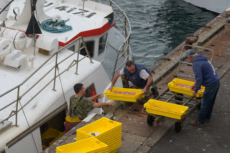 SEPTEMBER 2021 - GUILVINEC - FRANCE: view on fisherman unloading their fish on the harbor of the guivilnec in Brittanyのeditorial素材