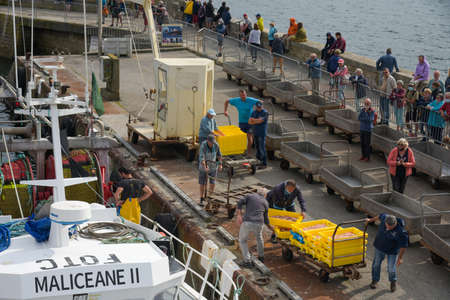 SEPTEMBER 2021 - GUILVINEC - FRANCE: view on fisherman unloading their fish on the harbor of the guivilnec in Brittanyのeditorial素材