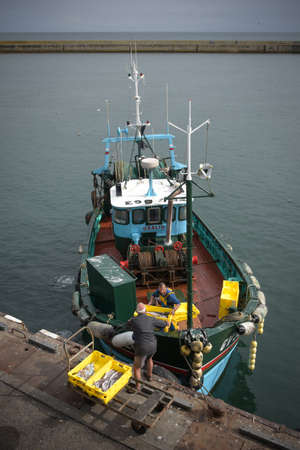 SEPTEMBER 2021 - GUILVINEC - FRANCE: view on fisherman unloading their fish on the harbor of the guivilnec in Brittanyのeditorial素材
