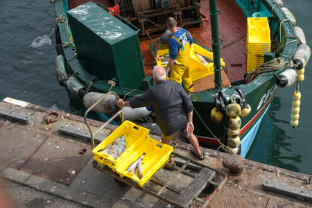 SEPTEMBER 2021 - GUILVINEC - FRANCE: view on fisherman unloading their fish on the harbor of the guivilnec in Brittanyのeditorial素材