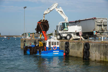 SEPTEMBER 2021 - ROSCOFF - FRANCE: unloading of algae at the port of Roscoff for the pharmaceutical industryのeditorial素材