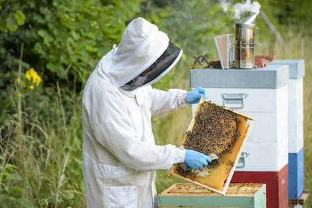 view on a beekeeper with his beehive in a meadowの写真素材
