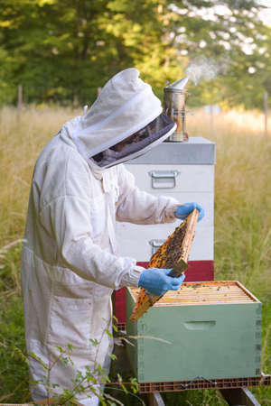 view on a beekeeper with his beehive in a meadowの写真素材