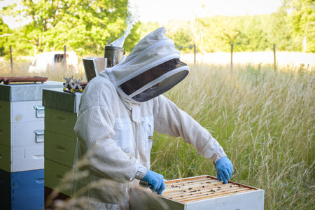 view on a beekeeper with his beehive in a meadowの写真素材
