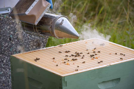 view on a beekeeper with his beehive in a meadowの写真素材
