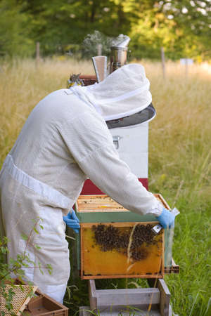 view on a beekeeper with his beehive in a meadowの写真素材