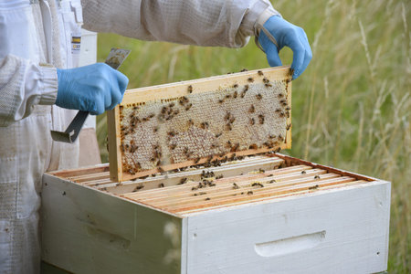 view on a beekeeper with his beehive in a meadow