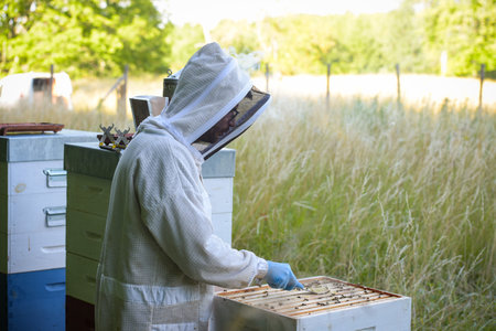 view on a beekeeper with his beehive in a meadowの写真素材