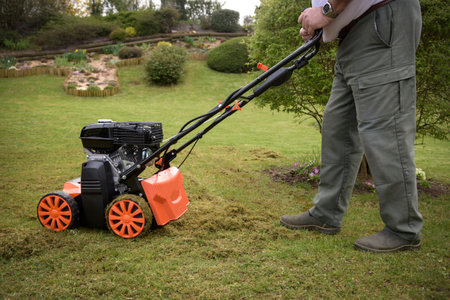 view of a scarifier removing moss from the lawn in a gardenの写真素材