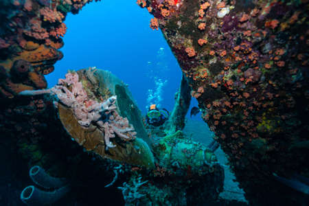 The propeller of the Hilma Hooker with Elkeの写真素材
