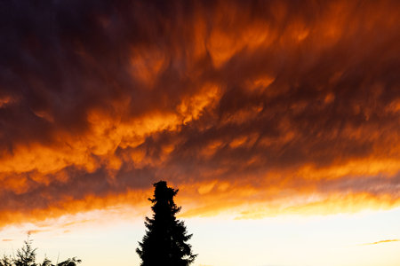 Rising clouds reveal the evening sun.の写真素材