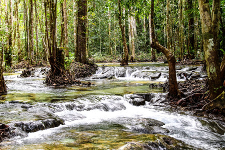 waterfall and forest in krabi thailand