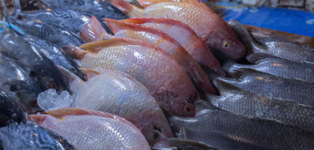 fish in the market in thailand