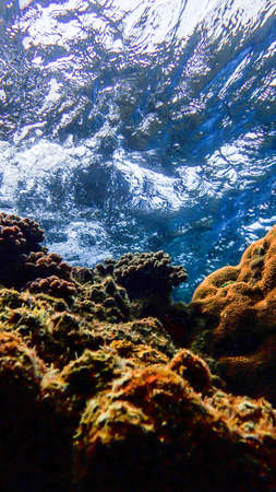 under the sea in thailandの写真素材