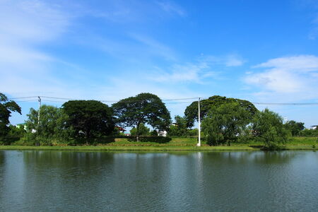 beside lagoonの写真素材
