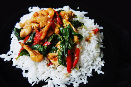 Spicy chicken basil with riceの写真素材
