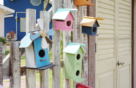 colorful bird house on the timber fence with louver doorの写真素材