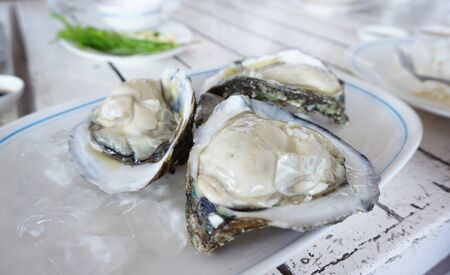 close up of the Fresh oyster with shell and ice cube on white plateの写真素材