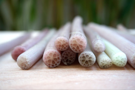 closed up of fresh lotus stem section on timber block with nature background