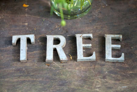 the galvanize lettering place in "tree" wording on the timber floorの写真素材