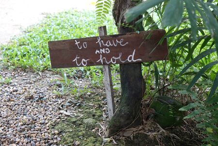 timber Quote signage on the gravel ground at the treeの写真素材