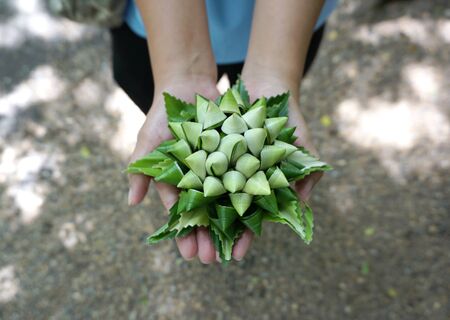 folded pandan leaves into the flower shape on human handsの写真素材