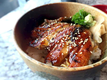 Grilled Japanese eels rice with white sesamiの写真素材