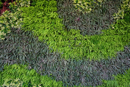 Variety of plants in vertical garden texture wall
