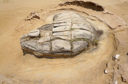 geography features in Yehliu Geopark, Taiwanの写真素材