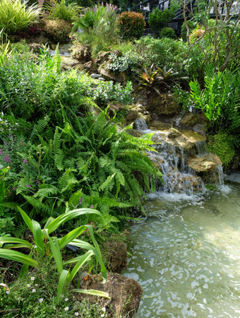 Garden landscape with small pondの写真素材